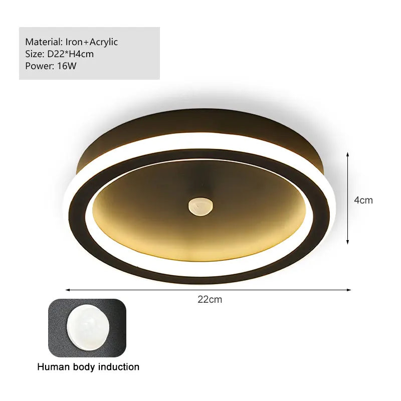 Black PIR Motion Sensor Ceiling Lamps for Bedroom Living Room AC85-265V Indoor Induction Ceiling Lights Decor for Corridor Aisle